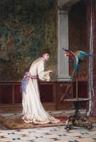 Feeding the Macaw