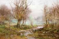 Foggy Landscape