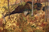Woodland Scene