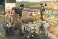 Washing Turnips