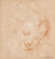 Head of a Putto