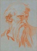 Head of an Old Beared Man