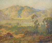 Desert Panorama