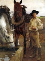 Horses at the Watering Trough