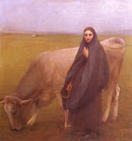 In the Meadow