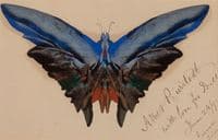 Butterfly, For Dell