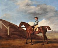 'Pumpkin' with William South up (1)