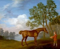 'Pumpkin' with a Stable Lad