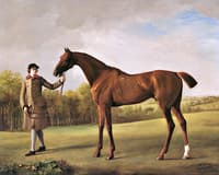 'Lustre' Held by a Groom