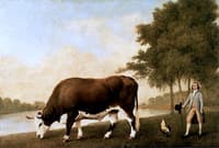 The Lincolnshire Ox