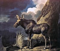 The Duke of Richmond's First Bull Moose
