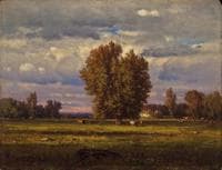 The Meadow
