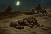 The Lions