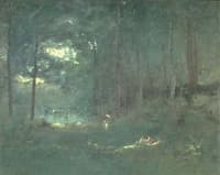 Pool in the Woods