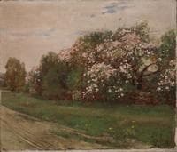 Landscape: Trees in Bloom
