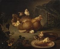 Hen and Chickens