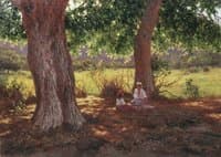 Summer Day