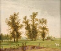 Summer Landscape