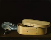 Still Life with a Nautilus, Panther Shell and Cip Wood Box