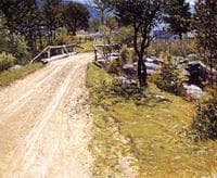 Sandy Road