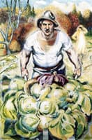 Peasant with Cauliflowers