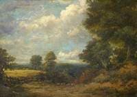 Scottish Landscape