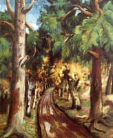 Forest Path