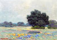 Landscape with Sheep