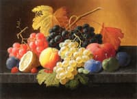 Still Life with Fruit