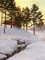 Sun Behind the Pines