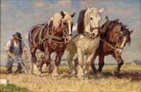 Ploughing