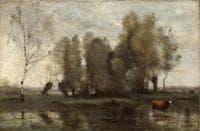 Trees in a Swamp