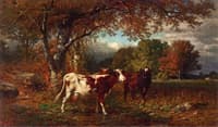 Cows in a Field