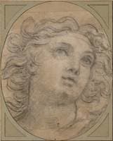 Head of an Angel