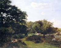Fontainebleau Forest