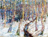 Birch Trees in the Snow