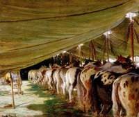 Sanger's Ring Horses