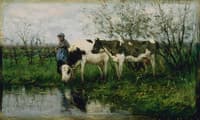 The Cowherd