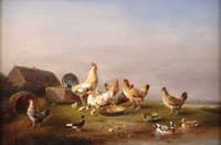 Fowl by the Pond