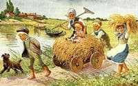 Harvest Joy