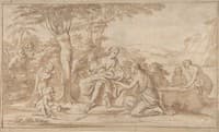 The Birth of Adonis