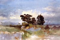 Environs de Marseille, arbres dans un paysage