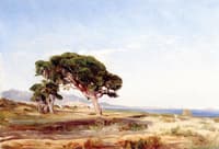 Paysage des environs de Cagnes