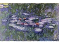 Water Lilies (Nympheas)