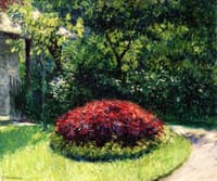 Flower Bed, the Garden at Petit-Gennevilliers