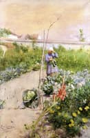 In the Kitchen Garden