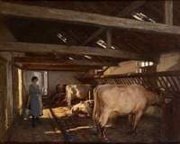Cowshed