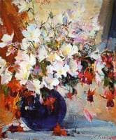 Fuchsias