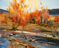 Landscape in New Mexico