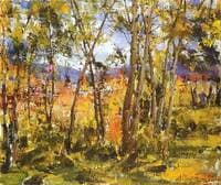 Henry Sharp's Garden